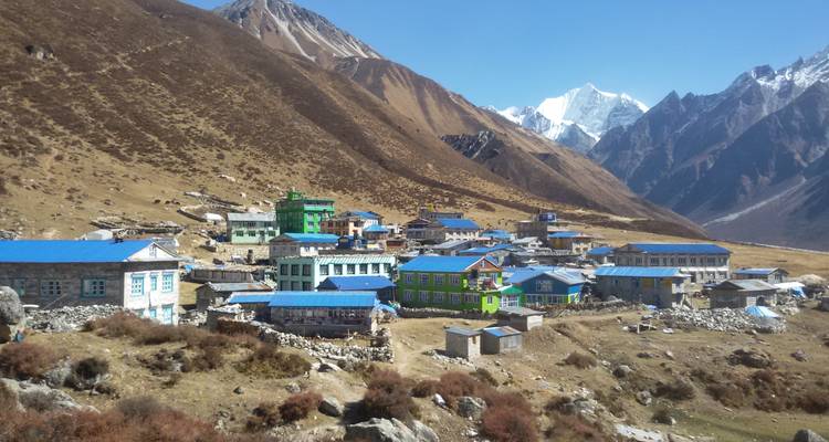 Langtang Valley View Trekking 8 jours - Nepal Lion Tours & Treks Pvt Ltd.  6