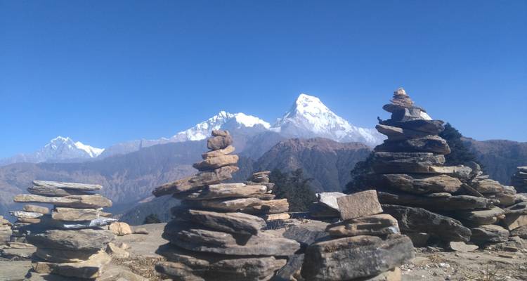 Trekking à la maison de thé de PoonHill - Nepal Lion Tours & Treks Pvt Ltd.  6