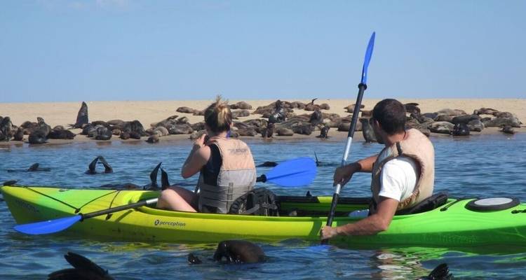 Summer Safari Package to Africa - Junita's Extreme Adventures Namibia cc 4