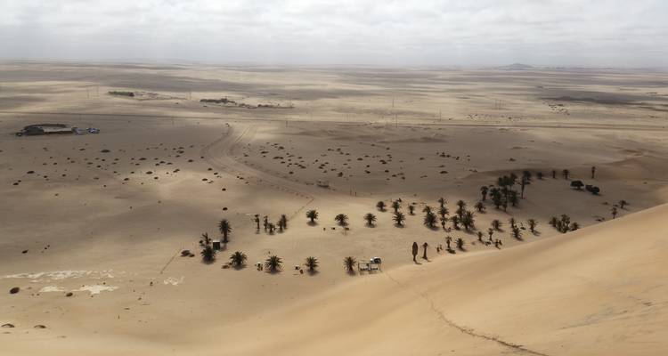 Vue aérienne d'un paysage désertique avec une végétation éparse.
