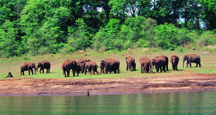Kerala : Voyage de 7 jours dans le sud de l'Inde - Varanasi Excursion Pvt Ltd 7