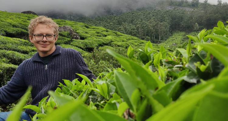 Reisender zwischen lebhaften grünen Teebüschen mit nebligen Plantlagenhügeln im Hintergrund.