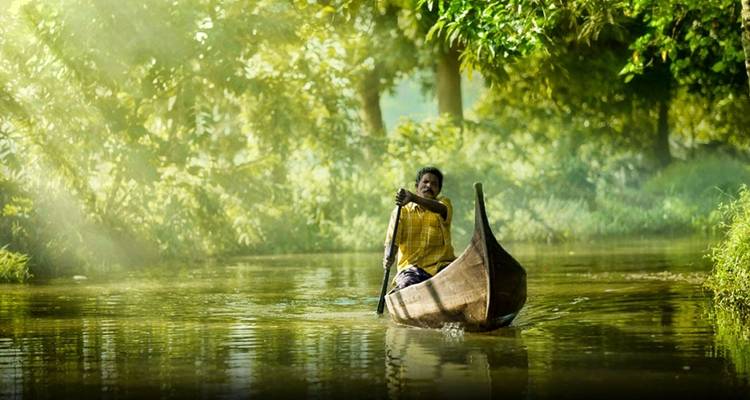 Kerala : Voyage de 7 jours dans le sud de l'Inde - Varanasi Excursion Pvt Ltd 1