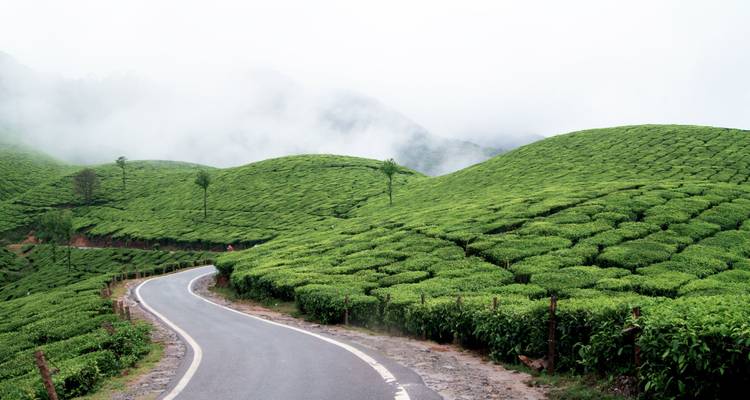 Kerala : Voyage de 7 jours dans le sud de l'Inde - Varanasi Excursion Pvt Ltd 8