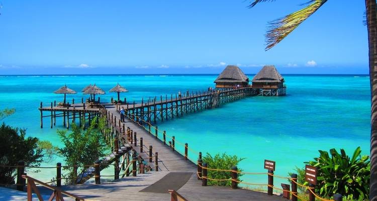 Safari de los Cinco Grandes y vacaciones en la playa - Gemuka Adventures 6
