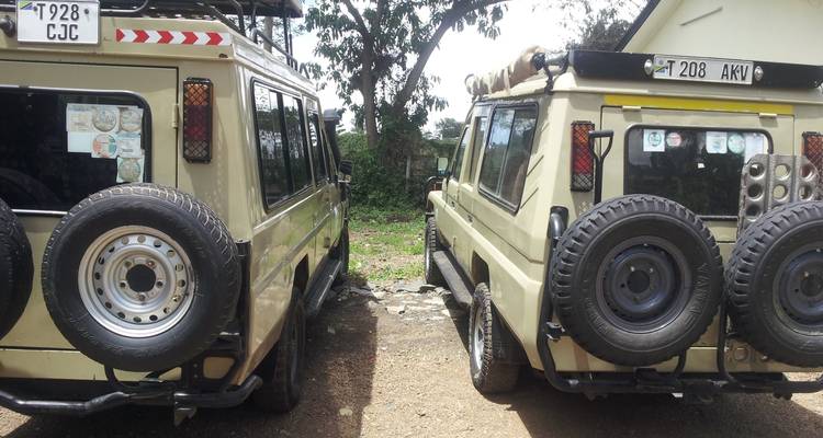 Gran Safari Selous y Mikumi - Gemuka Adventures 8