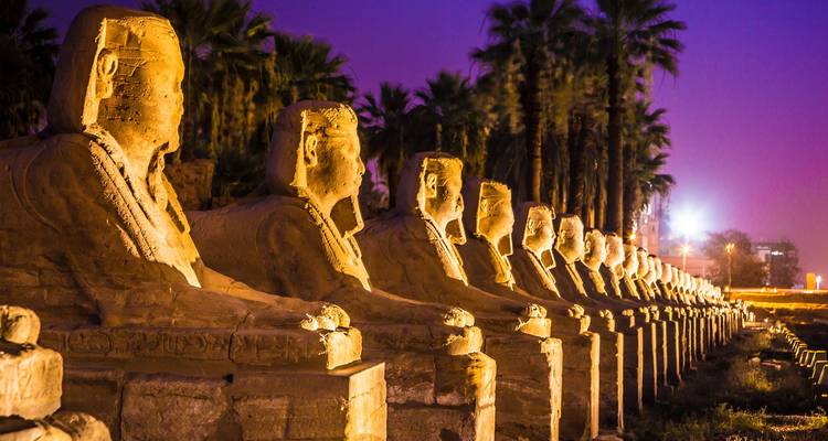 Rangée de statues de sphinx illuminées longeant l'avenue du temple de Louxor sous un ciel nocturne violet.