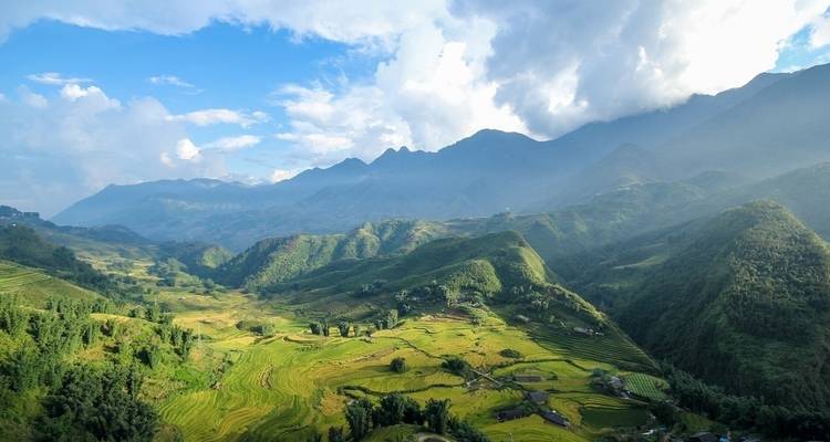 Vista expansiva de campos exuberantes en terrazas bajo un cielo azul.