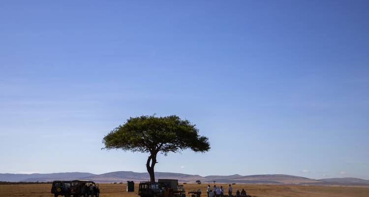 Safari de 7 días con los 5 grandes - All Time Safaris Ltd 9