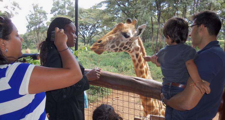 Safari familiar de 5 días - All Time Safaris Ltd 8