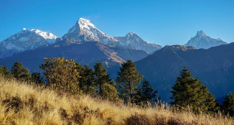 Senderismo corto Ghorepani Poon Hill - White Hill Adventure Treks and Expedition Pvt Ltd 2