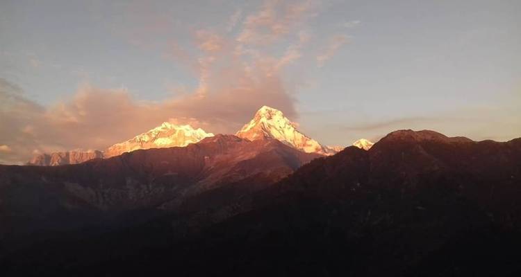 Senderismo corto Ghorepani Poon Hill - White Hill Adventure Treks and Expedition Pvt Ltd 7