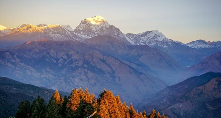 Senderismo corto Ghorepani Poon Hill - White Hill Adventure Treks and Expedition Pvt Ltd 4