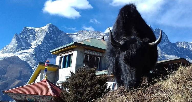 Everest Short Trek -5 Days - White Hill Adventure Treks and Expedition Pvt Ltd 8