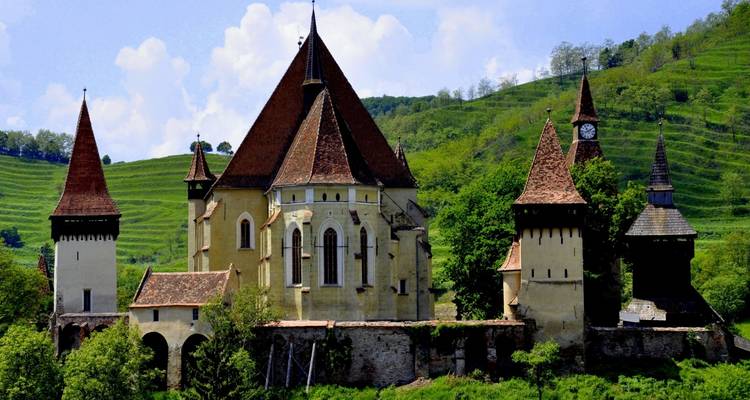 Église avec plusieurs tours entourée de verdure.