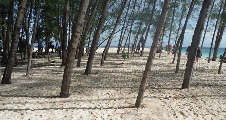 Family Thailand Active Jungle and Beach Adventure - Explore! 4