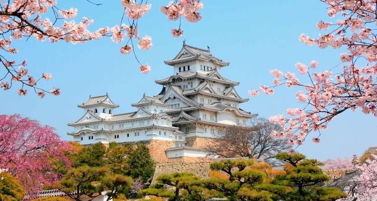 Les points forts du Japon - Explore! 3