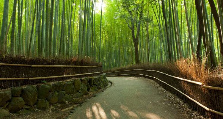 Les points forts du Japon - Explore! 4