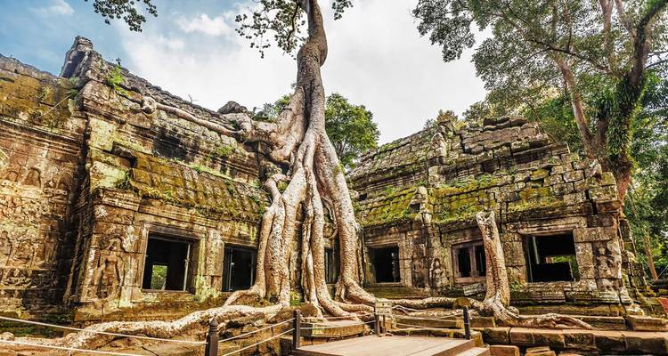 Temple ruins with large tree roots growing over walls.