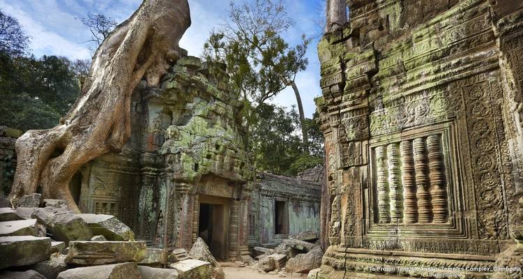 Ancient temple ruins with intricate carvings and large tree.