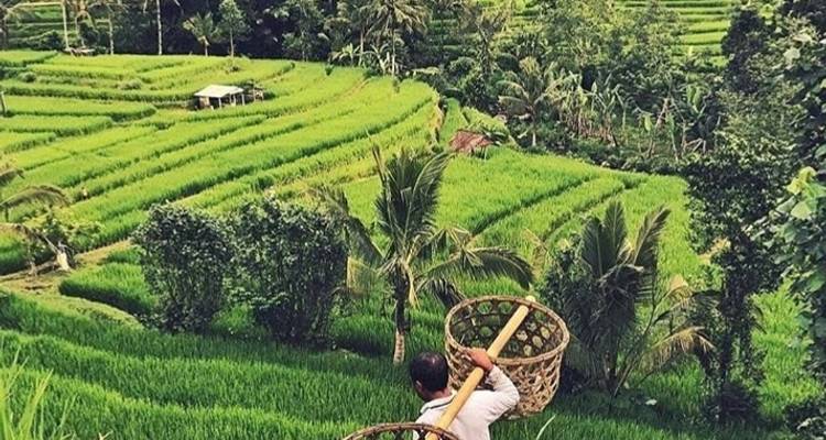Best of Bali Instagram 3 Day Tour - Private et; All Inclusive - ForeverVacation 10