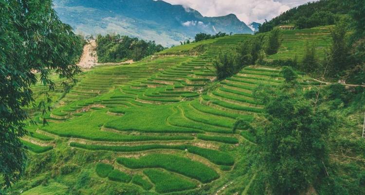 Excursionismo de 3 días en Sapa y mercado de Bac Ha el domingo - Crossing Vietnam Tour 1