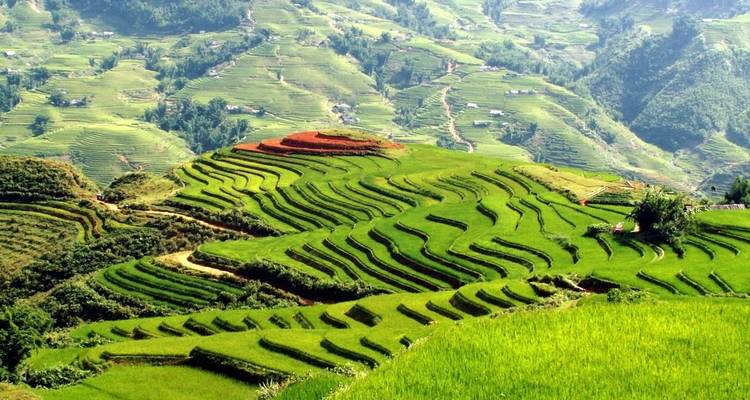 Excursionismo de 3 días en Sapa y mercado de Bac Ha el domingo - Crossing Vietnam Tour 3