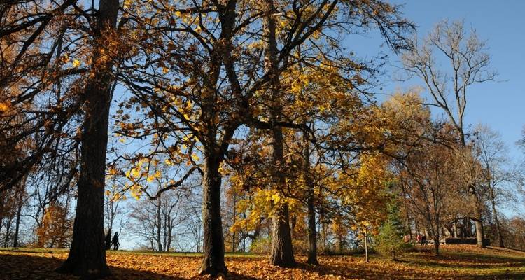 Tour de la Baltique : Découvrez la Lituanie, la Lettonie et l'Estonie - Jerulita Travel 7