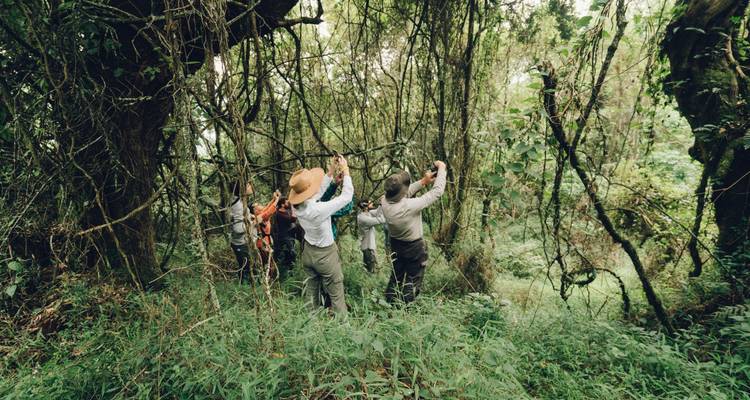 Aventure Gorilla Trekking - avec expérience Rwanda- Uganda - New Horizon Africa Safaris 4
