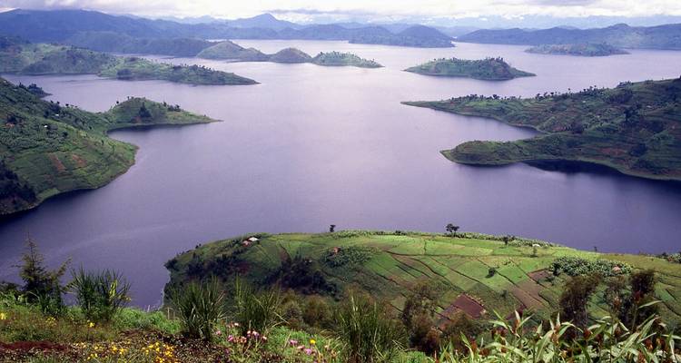 Aventure Gorilla Trekking - avec expérience Rwanda- Uganda - New Horizon Africa Safaris 7