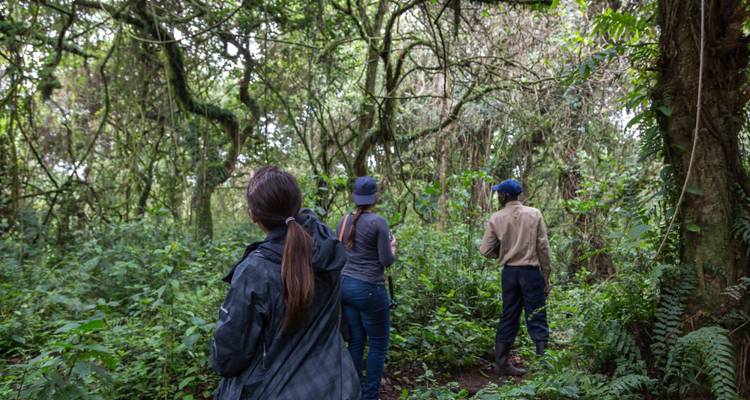 Aventure Gorilla Trekking - avec expérience Rwanda- Uganda - New Horizon Africa Safaris 9