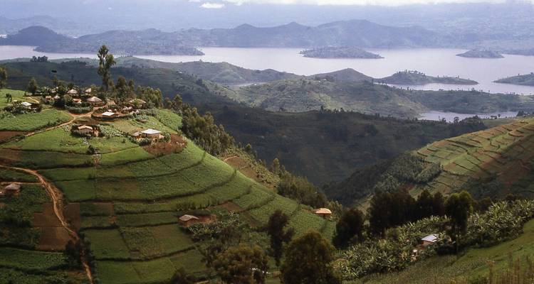 Aventure Gorilla Trekking - avec expérience Rwanda- Uganda - New Horizon Africa Safaris 10