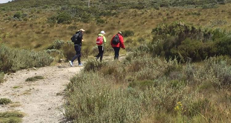 Circuito de un día al monte Kenia - All Time Safaris Ltd 6