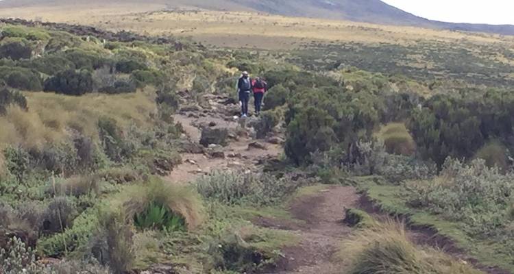 Circuito de un día al monte Kenia - All Time Safaris Ltd 2