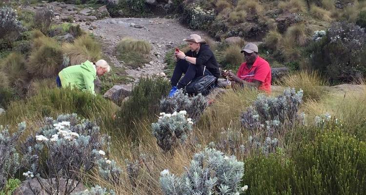 Circuito de un día al monte Kenia - All Time Safaris Ltd 4