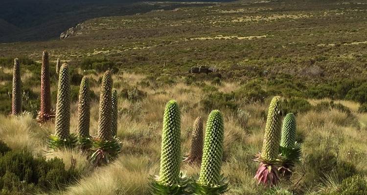 Circuito de un día al monte Kenia - All Time Safaris Ltd 3