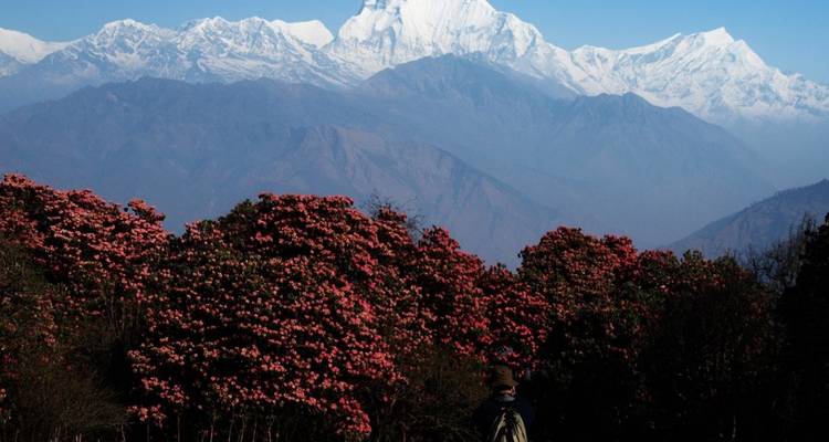 Real excursionismo del Annapurna excursionismo del circuito del Annapurna - Accessible Adventure Pvt. Ltd 9