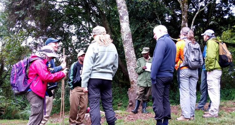 Safari exprés con gorilas en Uganda - Ubuntu Voyages 10