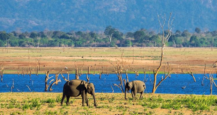 Aventure au Sri Lanka pour les adolescents - 9 jours - On The Go Tours 6