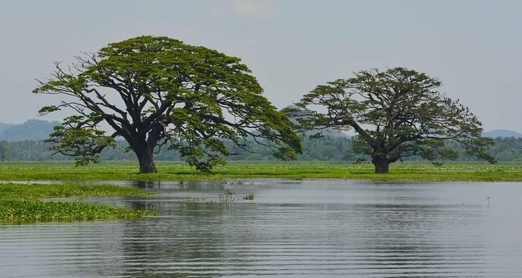 Aventure au Sri Lanka pour les adolescents - 9 jours - On The Go Tours 10
