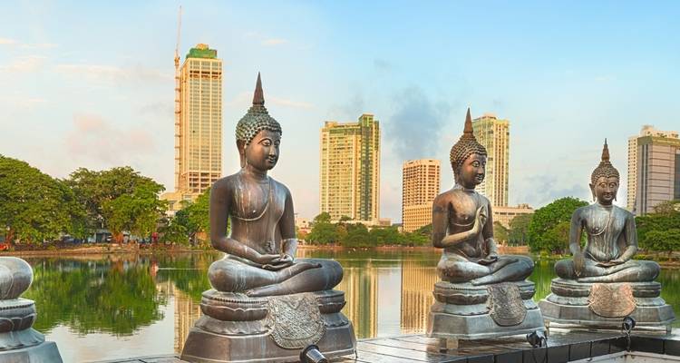 Aventure au Sri Lanka pour les adolescents - 9 jours - On The Go Tours 7