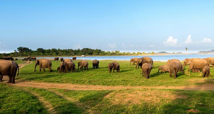Aventure au Sri Lanka pour les adolescents - 9 jours - On The Go Tours 2