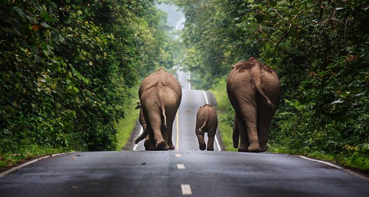 Tailandia Inusual 8 días /7 noches - Nhat Long Travel Company 2