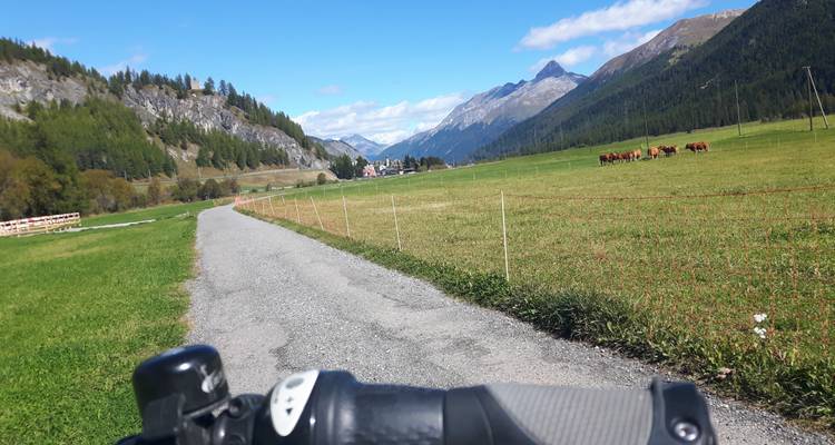 E bike trip Switzerland, Austria and Italy, Guided cycling from Glacier to Garda Lake - Bike Planet Tours 6