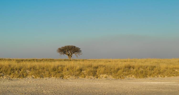 Excursión Explorador Grandeza de Botsuana: Delta del Okavango, Parque Nacional de Chobe, Cataratas Victoria - HoneyBadger Travel & Tours 9