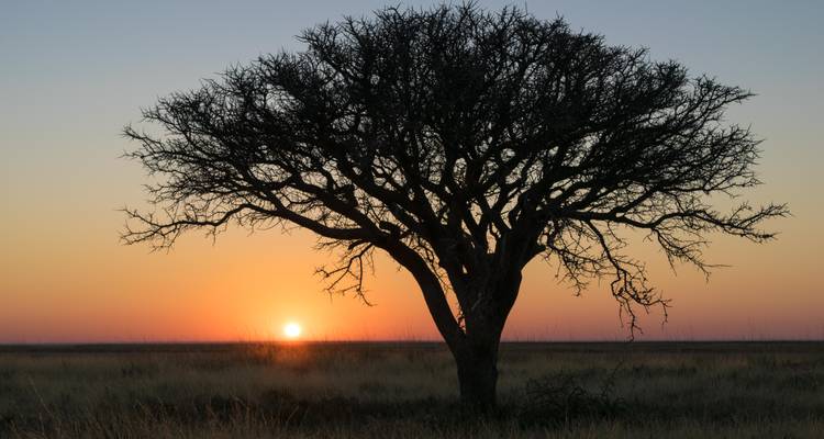 Excursión Explorador Grandeza de Botsuana: Delta del Okavango, Parque Nacional de Chobe, Cataratas Victoria - HoneyBadger Travel & Tours 8
