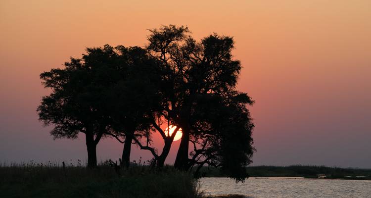 Excursión Explorador Grandeza de Botsuana: Delta del Okavango, Parque Nacional de Chobe, Cataratas Victoria - HoneyBadger Travel & Tours 2