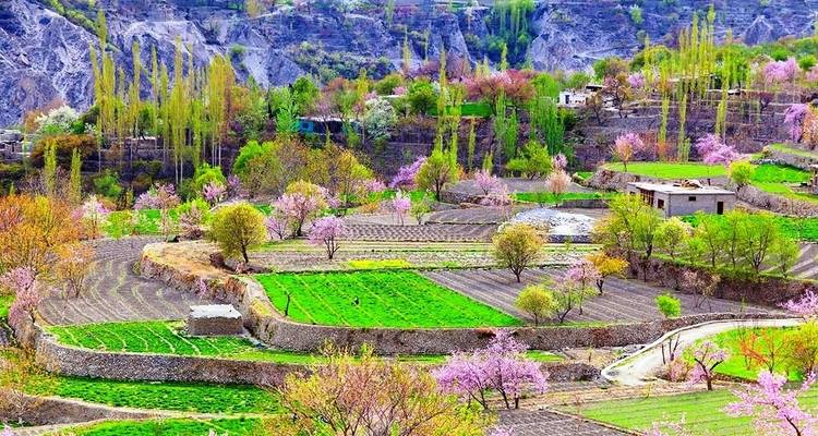 Circuito de 10 días por el Valle de Hunza y los cerezos florecidos Pakistán - Rock Valley Tours Pvt Ltd 1