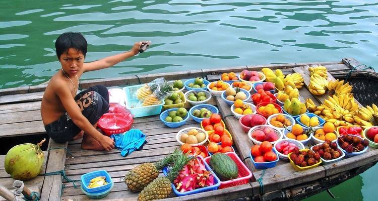 Vietnam Discovery - Wingbuddy 3