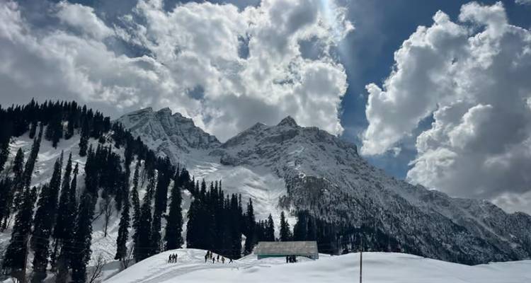 Besneeuwde alpine hellingen van Gulmarg met hoge sparrenbomen en skiërs die naar een bergkam omhoog klimmen.